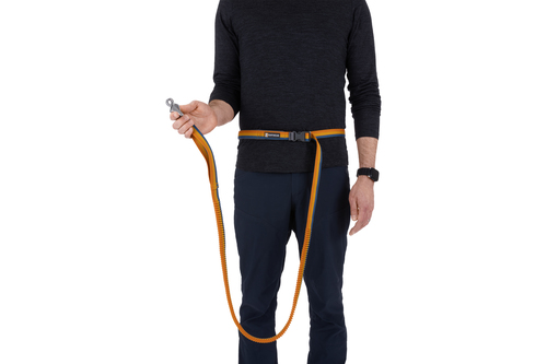 Roamer™ Bungee Leash