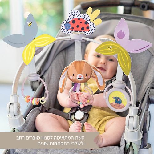 קשת לעגלה- לגדול יחד