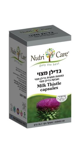  גדילן מצוי 