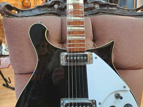 RICKENBACKER 620 2011