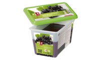 מחית קסיס 1קג  (2 ק"ג בקרטון) CAPFRUIT 