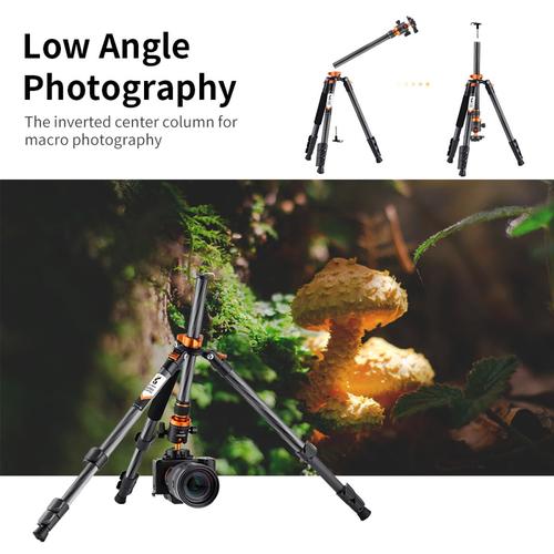 חצובת סיבי פחמן עם ראש כדורי - K&F Concept PRO Carbon Fiber Tripod & Monopod Kit D254C1 + BH-28L