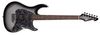 גיטרה חשמלית Peavey Raptor® Custom Silverburst