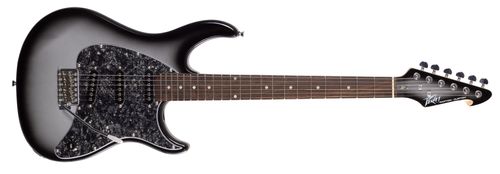 גיטרה חשמלית Peavey Raptor® Custom Silverburst