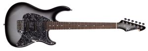 גיטרה חשמלית Peavey Raptor® Custom Silverburst
