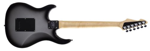 גיטרה חשמלית Peavey Raptor® Custom Silverburst