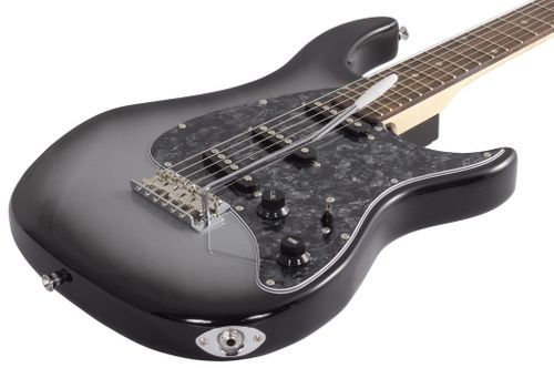 גיטרה חשמלית Peavey Raptor® Custom Silverburst