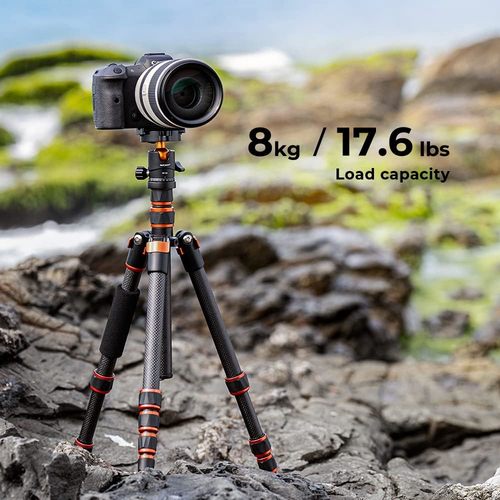 חצובת סיבי פחמן עם ראש כדורי - K&F Concept BA225 Professional Carbon Fiber Tripod C225C0 + BH-25