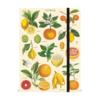 A5 מחברת שורה: Citrus