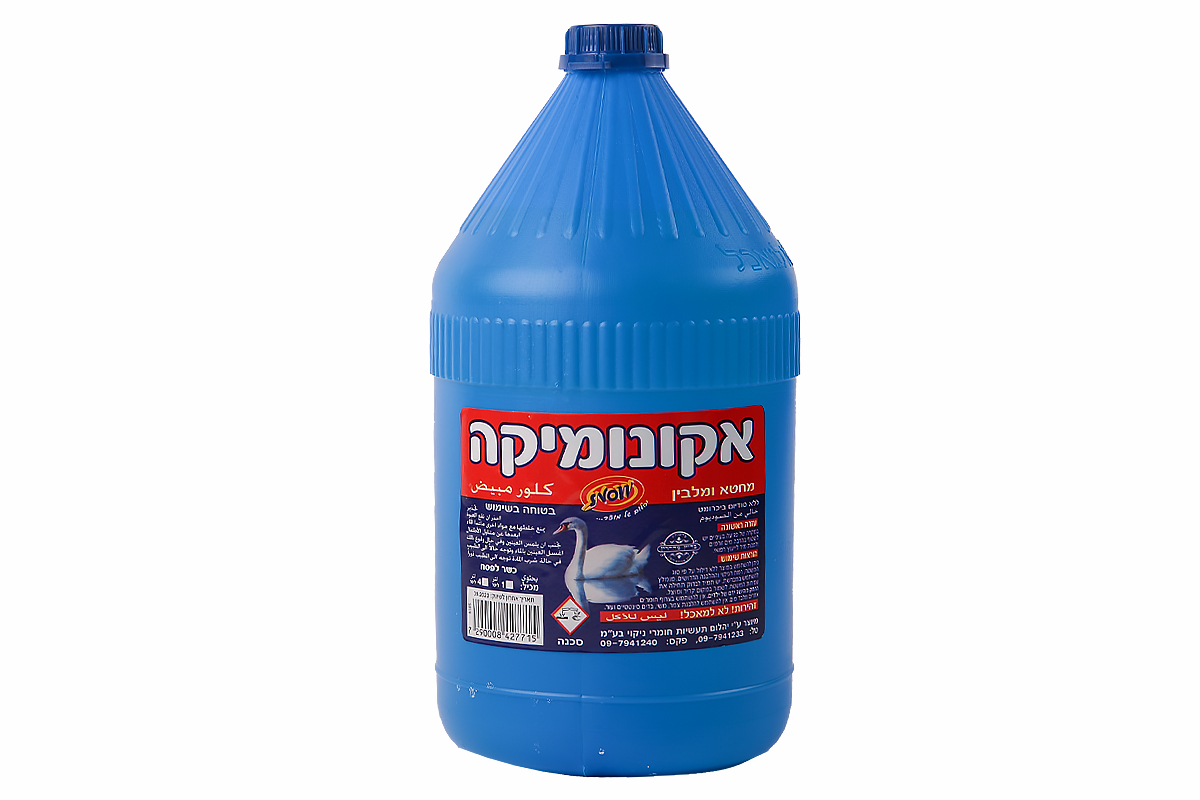סביון אקונומיקה 