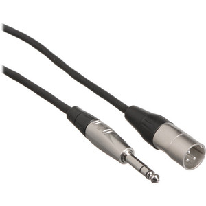 Hosa Technology Balanced 1/4" TRS Male to 3-Pin XLR Male Audio Cable (10