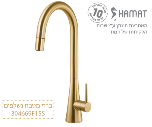 304669 F15S זהב מוברש