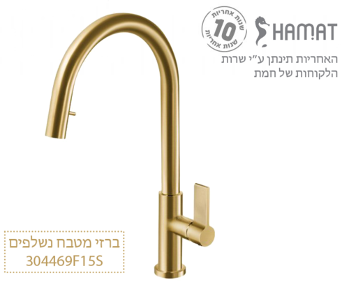 304469 זהב מוברש F15S