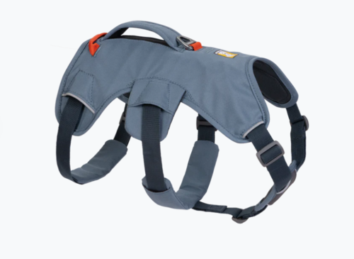 Web Master™ Harness