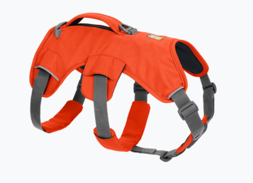 Web Master™ Harness