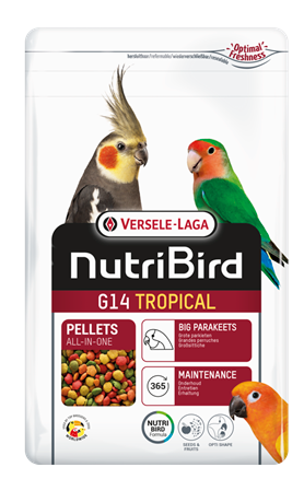 NutriBird G14 TROPICAL - מזון יבש מלא - כופתיות לתוכים גדולים 1 ק