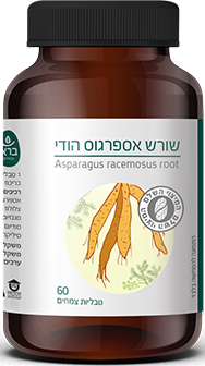  שורש אספרגוס הודי - Asparagus racemosus root 