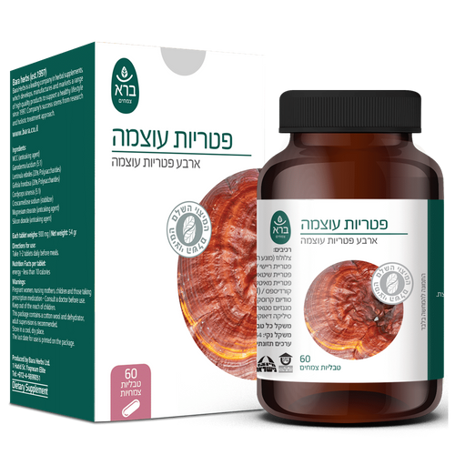  Power Mushrooms | פטריות עוצמה 
