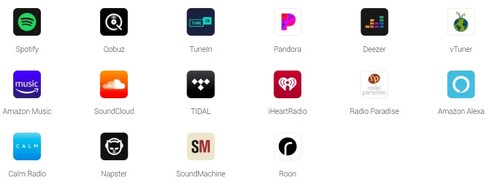 WiiM Pro Plus