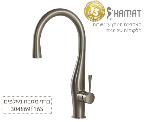 304869 F16S ניקל מוברש