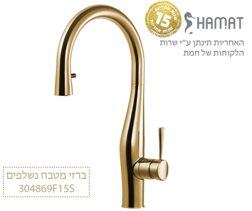 304869 F15S זהב מוברש