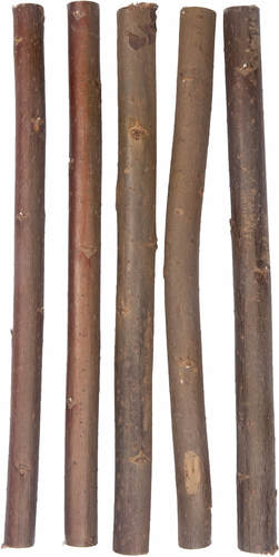 מקלות עץ כרסום טבעי לתוכים WILLOW L פלמינגו