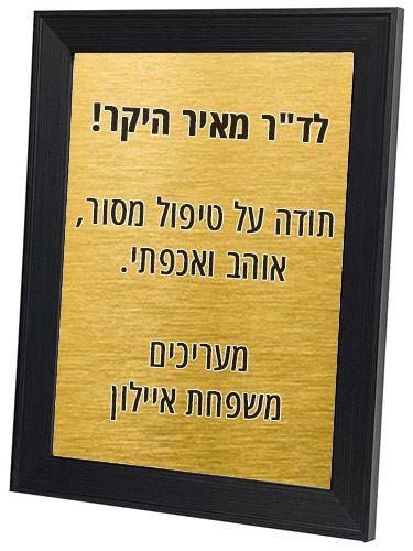 תמונה מתכת לסלון