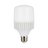 נורת T-LED לבנה E27 30W אור חם NISKO