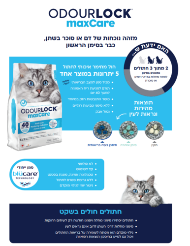 חול מתגבש מקס קייר 12 ק