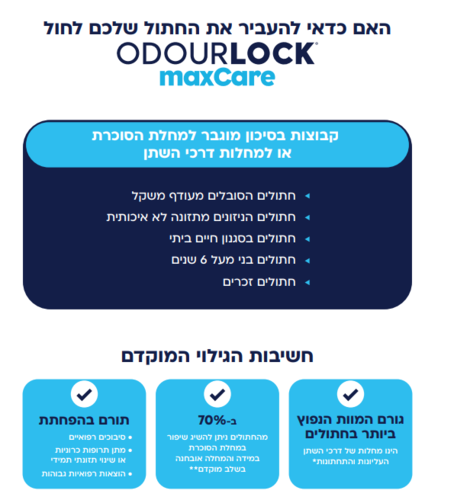 חול מתגבש מקס קייר 12 ק