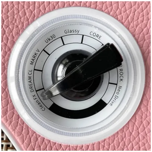 מגבר לגיטרה חשמלית Mooer Hornet Pink