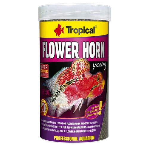 טרופיקל פלוואר הורן צעיר  Tropical Flower Horn young במשקל 380 גרם