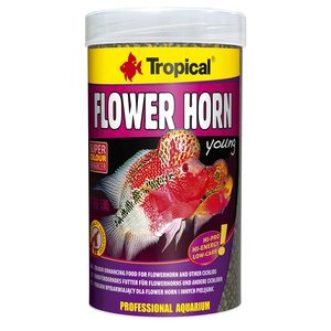 טרופיקל פלוואר הורן צעיר  Tropical Flower Horn young במשקל 380 גרם