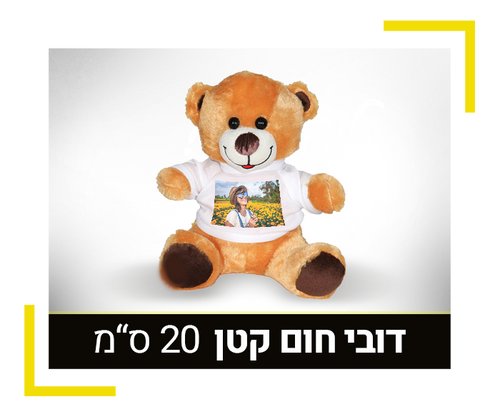 דובי חום קטן