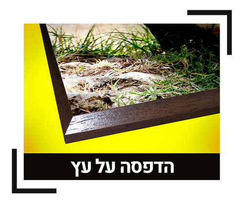הדפסה על עץ