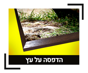 הדפסה על עץ
