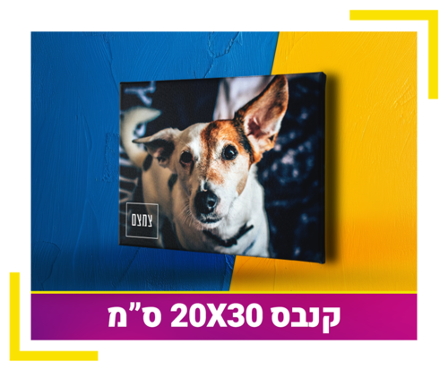 קנבס 20X30