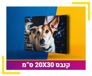 קנבס 20X30