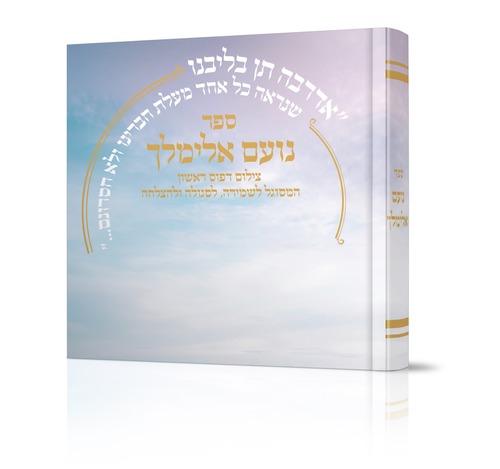 נועם אלימלך