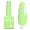 לק ג'ל 9034 | סדרת CC2 |קאני - CANNI