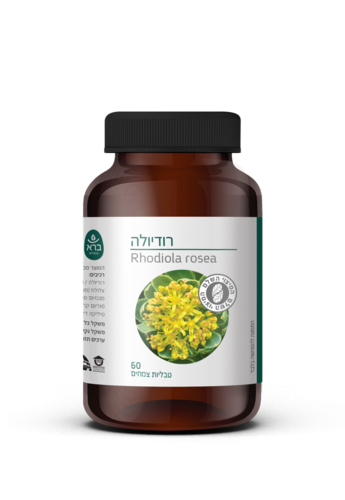 רודיולה | ברא 