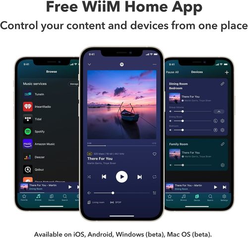 מגבר WiiM AMP