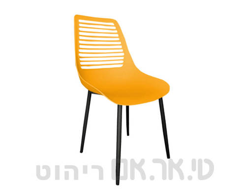 בז רגל בהירה