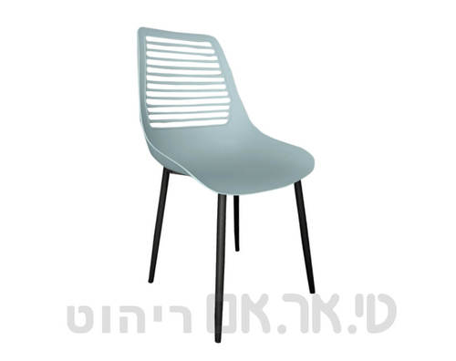 צהוברגל בהירה