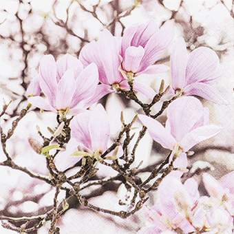 מפיות נייר 20 יח' Pink Magnolia