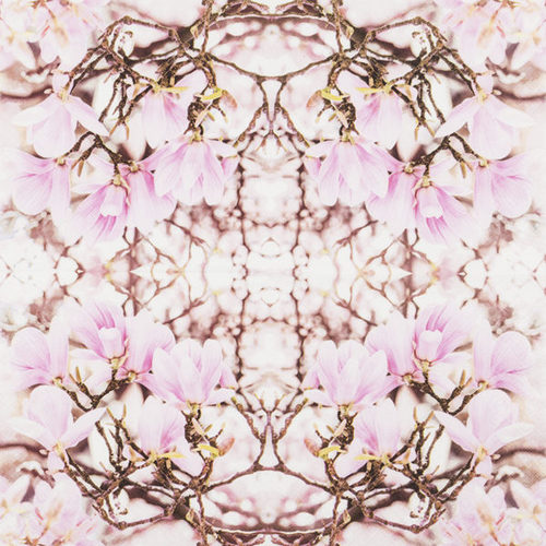 מפיות נייר 20 יח' Pink Magnolia