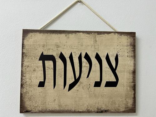 שלט אווירה 