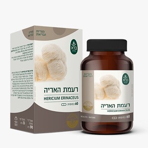 ברא-רעמת האריה HERICIUM ERINACEUS | מכיל 60 כמוסות |