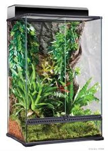 טרריום טבעי אקזוטרה 30*30*45 גבוה מאוד/בינוני Natural Terrarium SMALL/WIDE