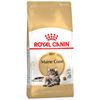 רויאל קנין מיין קון בוגר 10 ק''ג Royal Canin Maine Coon
